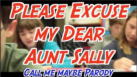 Please Excuse my Dear Aunt Sally (The Order of Operations) PEMDAS