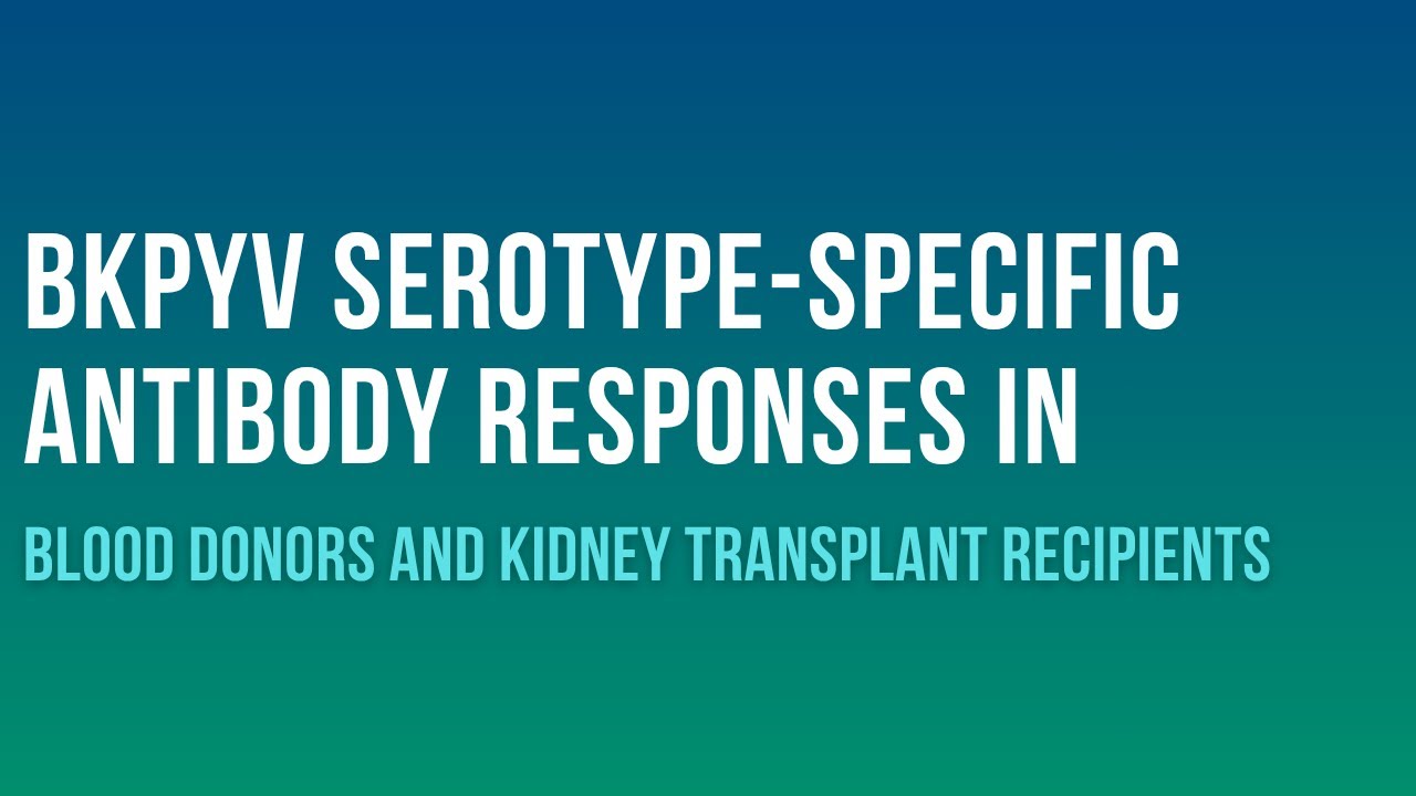 BKPyV Serotype-Specific Antibody Responses in Blood Donors and Kidney Transplant Recipients