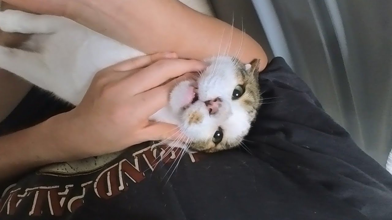 싸울수 밖에 없었다