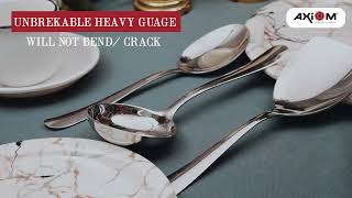Stainless Steel Serving Spoon set