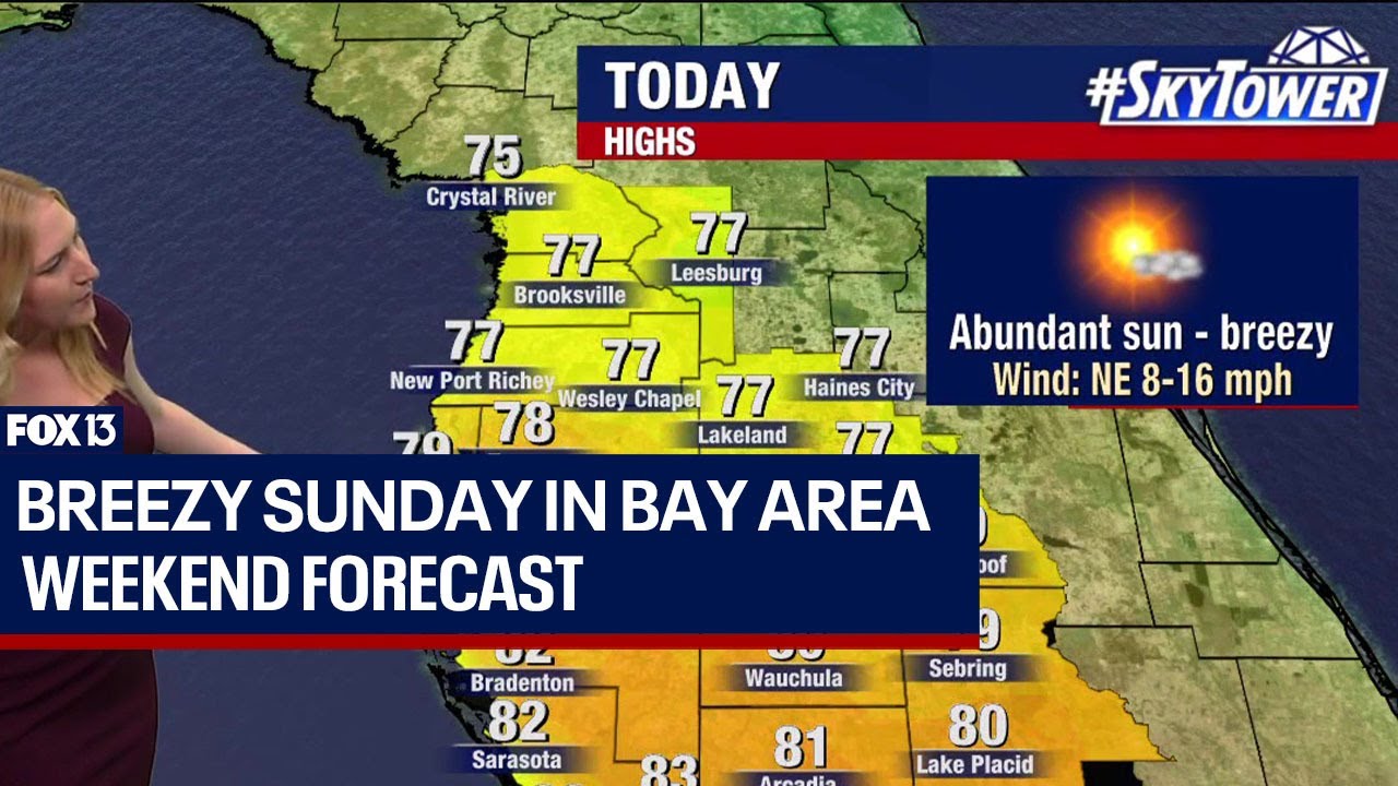 Tampa Weather: Breezy Sunday in Bay Area - YouTube