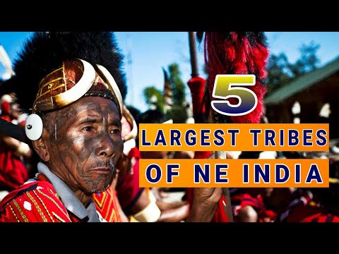 Video: Top 5 Places to Tour Tribal India