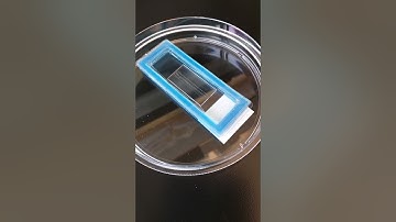 5. Humidified Chamber Setup