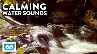 Relaxing Sounds of Water Stream - 2 Hours Nature Relaxation Sound