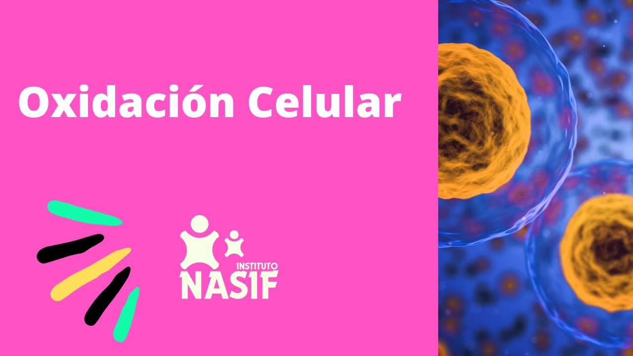 PreU Medicina - Oxidación Celular