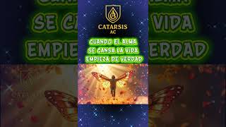 SOLO QUEDÉ YO Y ME DI CUENTA QUE CON ESO BASTABA #catarsisaltoyclaro