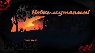 🔴 Stalker Online | ДЛЯ ТЕХ КТО В БАНЕ | ЧЁРНЫЙ ЛЕС. ТИЗЕР.| Stay Out