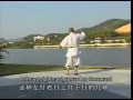 Shaolin kung fu rope dart