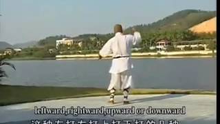 Shaolin kung fu rope dart