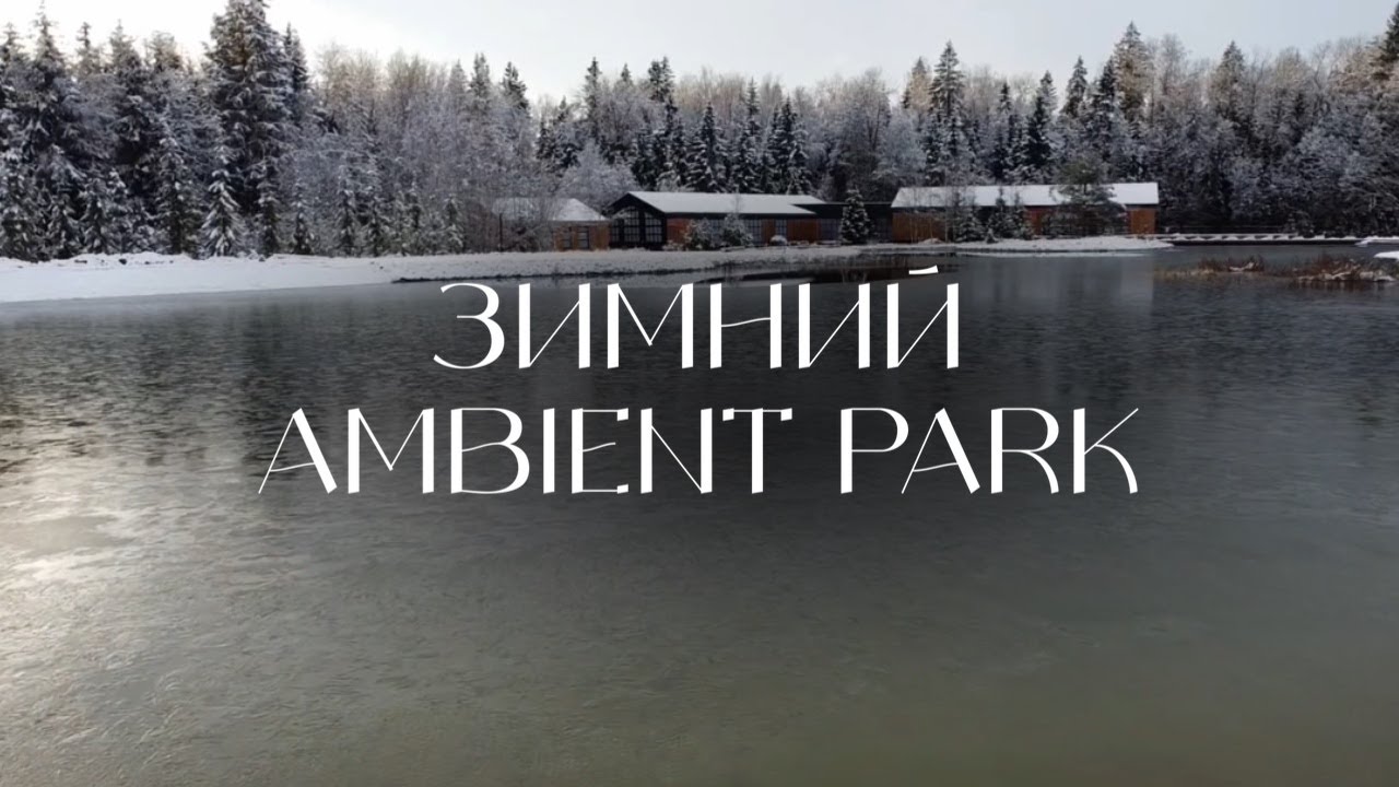 ОЖИВАЮЩАЯ КРАСОТА ЛЕДЯНОГО ПРУДА. Зимняя сказка в Ambient Park.