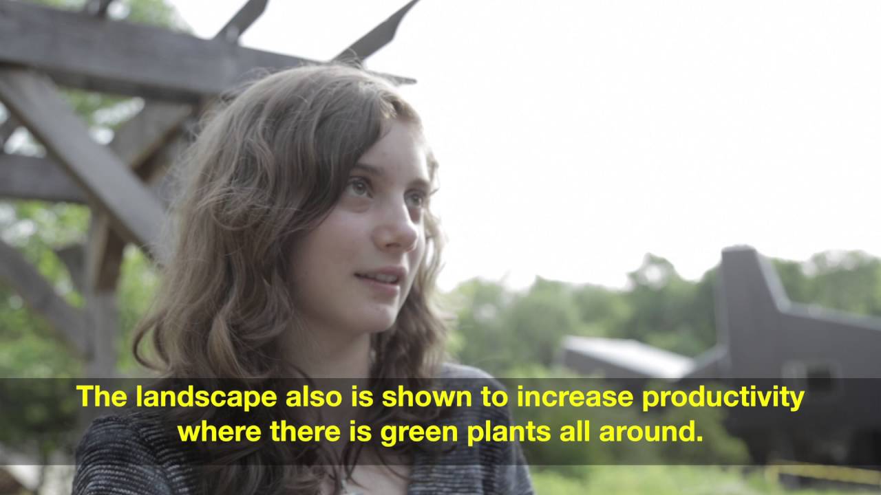 The Landscape: Sustainable Design @ CG
