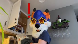 Astray Foyote Gets Caught Red Handed! | Fursuit Skit