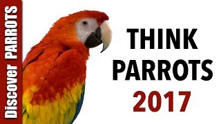 Think Parrots 2017 | Discover PARROTS by Discover PARROTS 3,663 views 6 years ago 10 minutes, 24 seconds