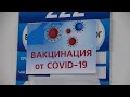 Севастополь получил 8 тысяч доз вакцины «ЭпиВакКорона»