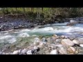 Lynn creek in north vancouver bc