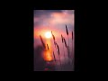 RADWIMPS 「なんていう」弾いてみた 