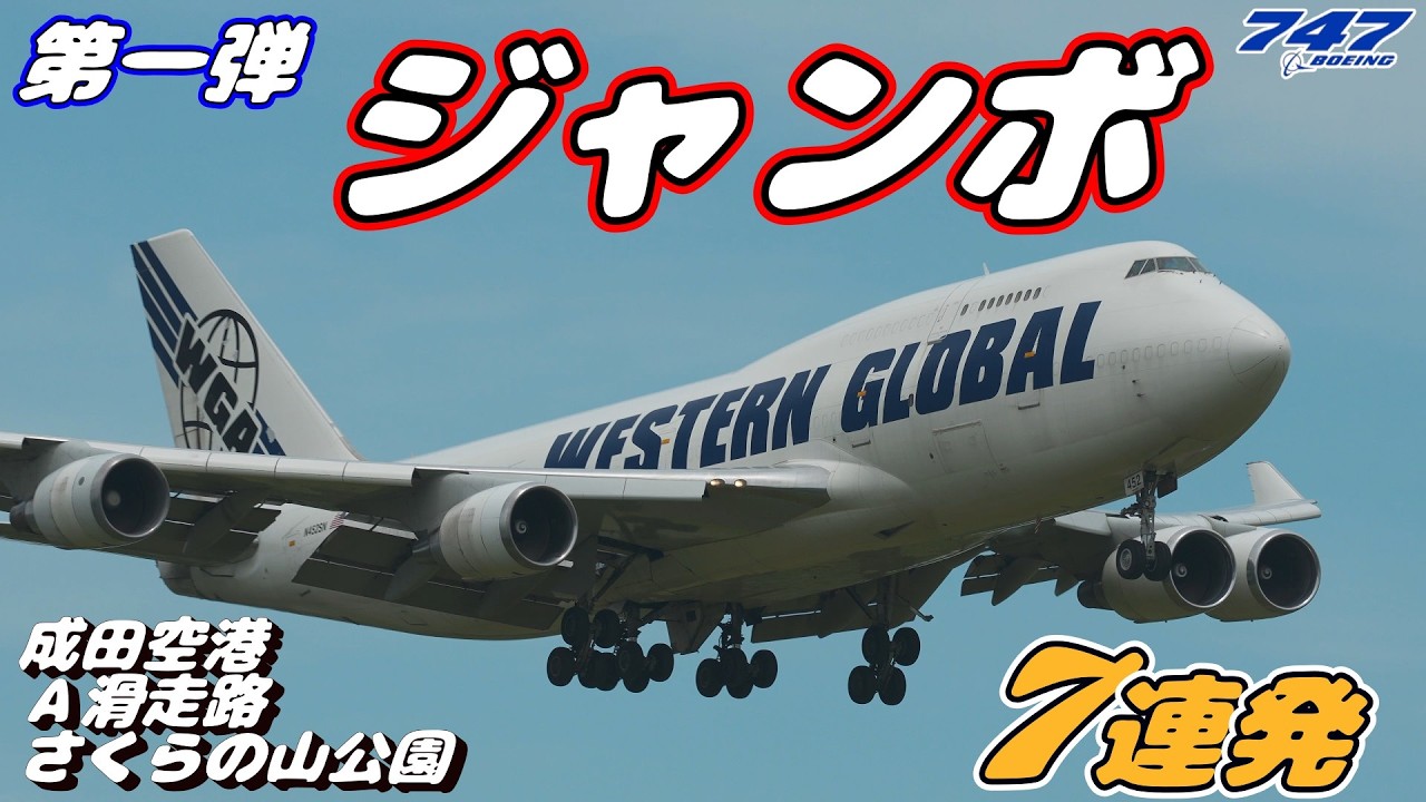 空山基リトグラフ54 B747第一弾 / 4K】成田空港 さくらの山公園 Aランに離着陸する