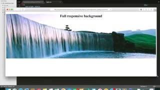 Full Responsive background