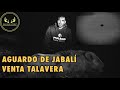 🎥 AGUARDO DE JABALI VENTA TALAVERA. 🐗#nuevatemporada