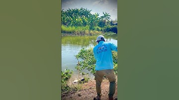 Cần thủ mới huấn luyện lên cá với Mồi câu R1 và R3 #camr1 #camr2 #camr3 #mồicâuR1 #mồicâuR3