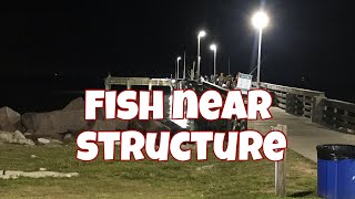 Epic Flounder Fishing GALVESTON Secret Spot