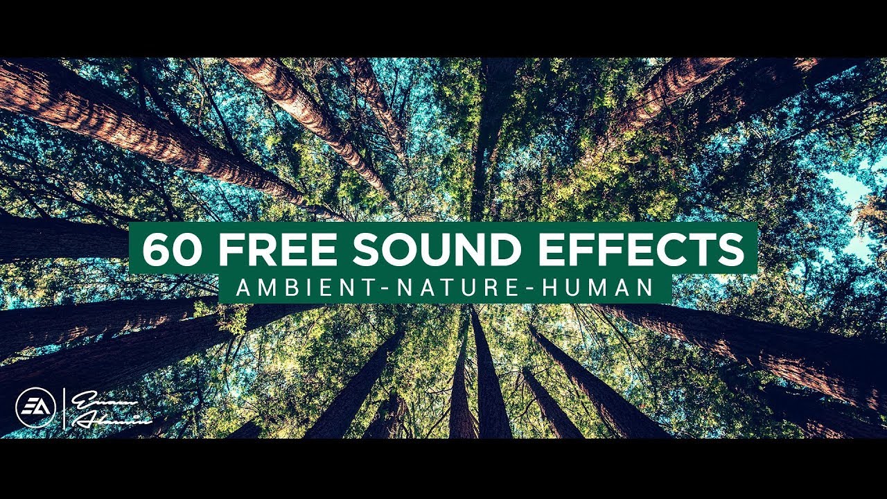 60 FREE Ambient Natural & Human Sounds Cinematic Sound Effects YouTube