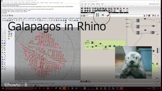 ARC80001 - 10 x how to#8 - Galapagos Street Network via Generative Approach