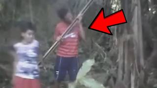 Tem algo sobrenatural vivendo na Floresta do Brasil