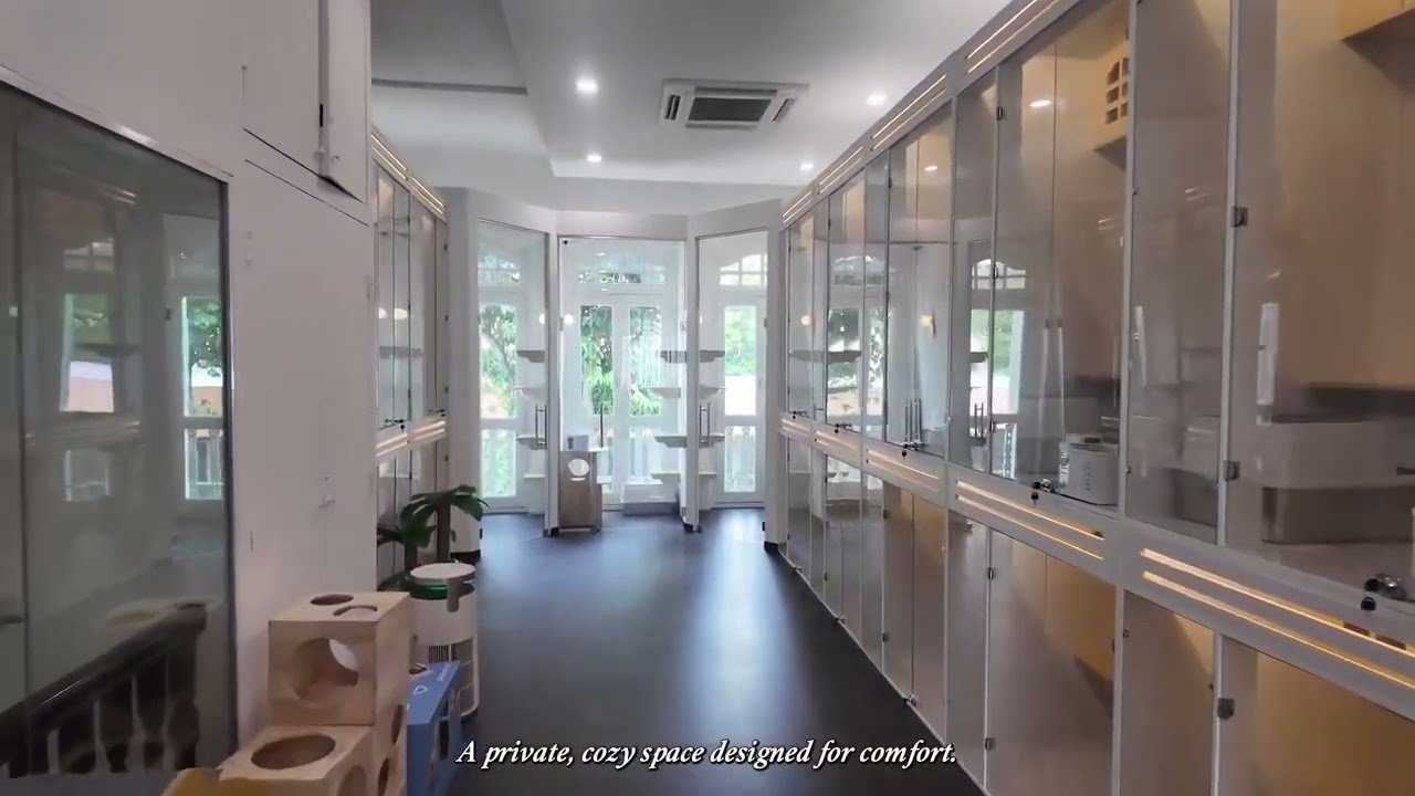 Kuro Cat Hotel Tour