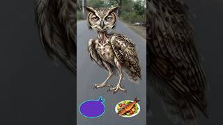🦉🐟 Can You Turn This Skinny Owl Into a Powerful Beast? 💪🔥#StrongOwlChallenge #reelschallenge