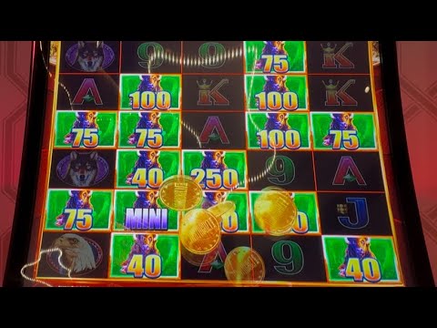 Freeslots Tropical Safari slot machine bonus mode