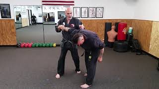 Practical Hapkido, stepping away from the static