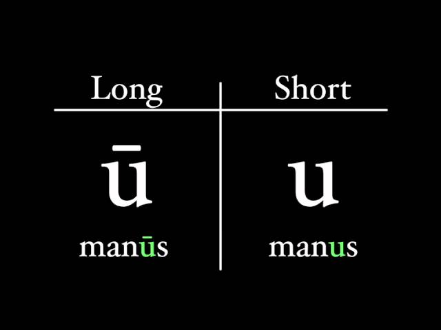 Latin Pronunciation Latin I Magister Henderson. The Roman Alphabet The  Roman alphabet is the same as the alphabet we use today, with a couple of  slight. - ppt download