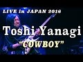 TOSHI YANAGI - "COWBOY" - Live in Japan 2016