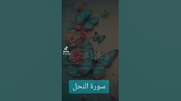 سورة النحل #دعاء #تيك_توك #لايك #دعاءمستجاب #دويتو #فولو #قران#quran