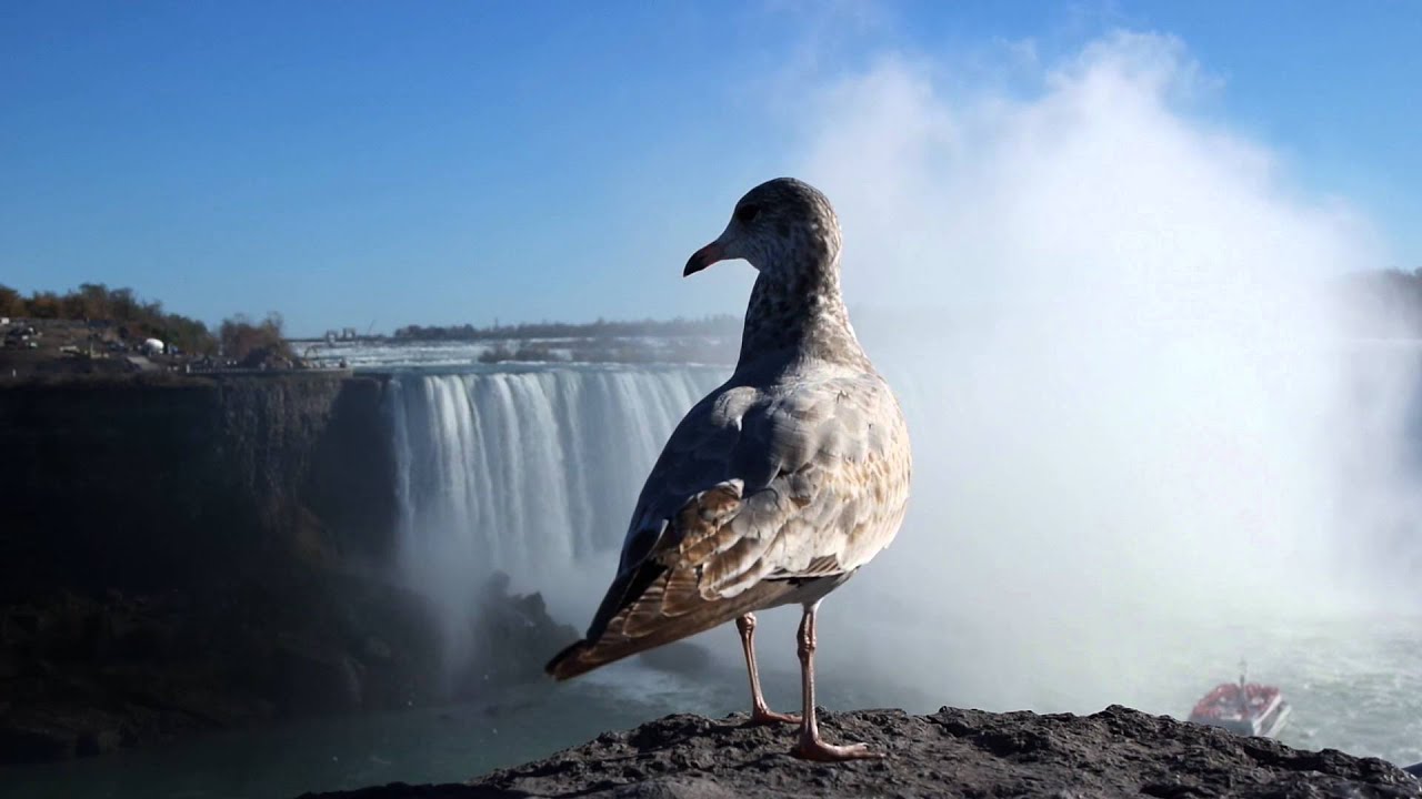 Canada´s east coast 2015 (watch in HD 1080p) - YouTube
