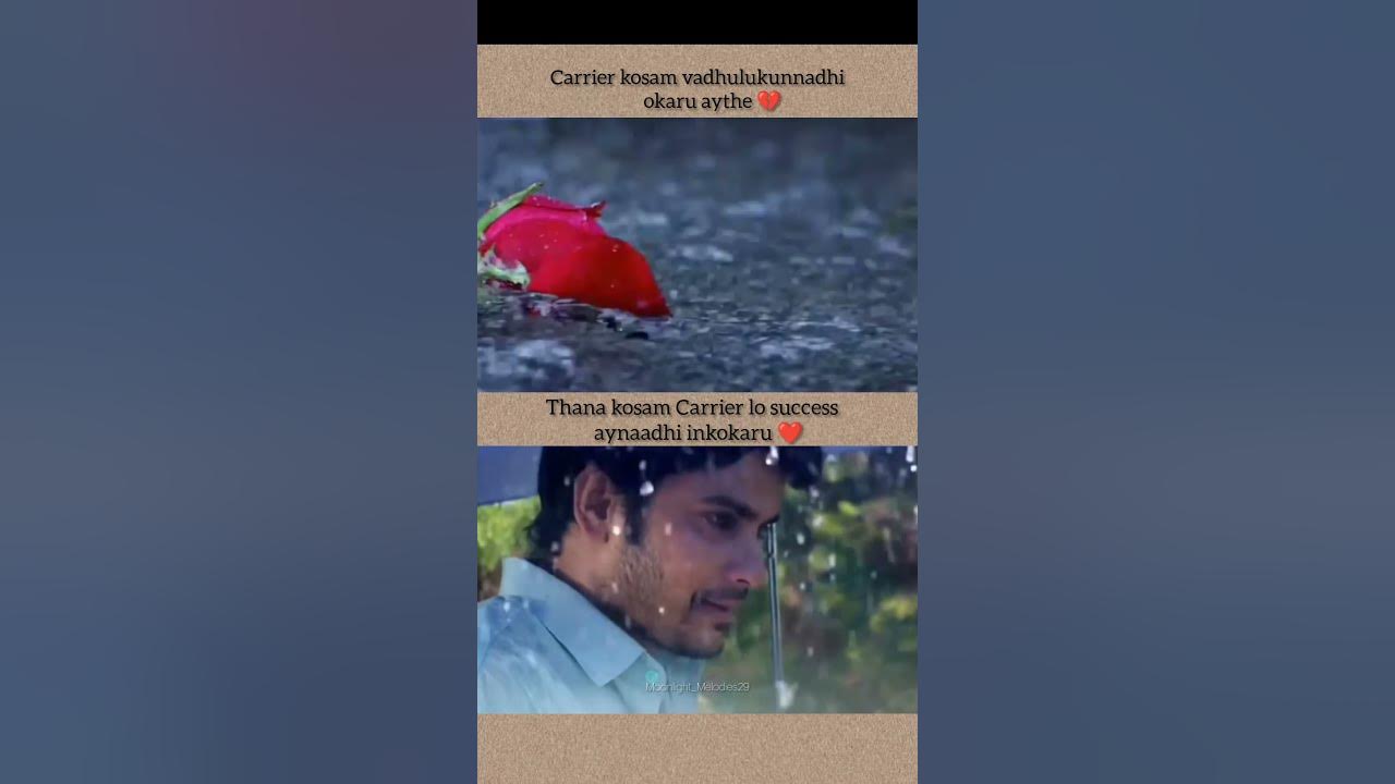 8 Vasanthalu #ananthikasanilkumar #song #music #love #ytshorts #viralvideo #trending 8 Vasanthalu #ananthikasanilkumar #song #music #love #ytshorts #viralvideo #trending