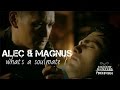 Alec  magnus  whats a soulmate 