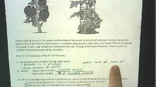 Scientific Method Practice Test
