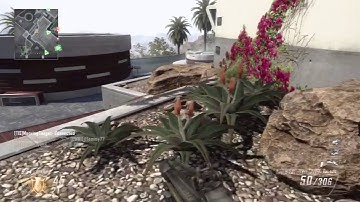 Black Ops 2 :: 35-1 Arms Race TDM On Raid (BO2 Multiplayer)