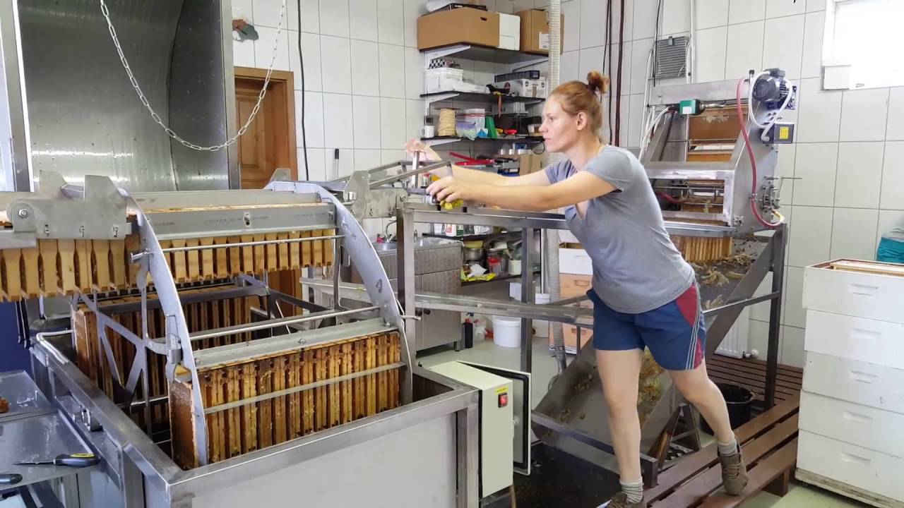 Automatyczna linia do odsklepiania i wirowania miodu#1