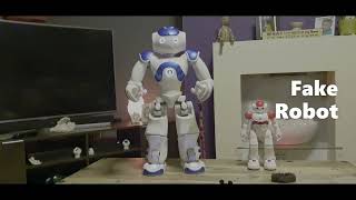 Beware of the Fake Nao Robot for sale. by RoboMatt 209 views 8 months ago 30 seconds