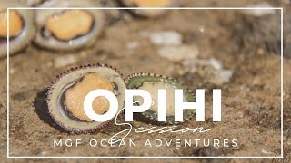 Picking Opihi in the rain