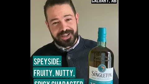 History of The Singleton Part 1