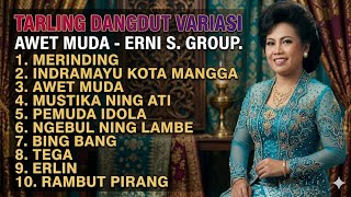 Tarling Dangdut Variasi Awet Muda - Erni S Group | Lagu Tarling Indramayu Full Album