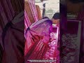 How Manual Dip Dye System Soaks Incense Sticks Into Ultra Vibrant Uniform Color Finish