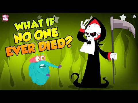 What If No One Ever Died? | Immortality | The Dr Binocs Show | Peekaboo Kidz