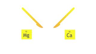Group 2  Alkaline Earth metals\/ Chemistry.
