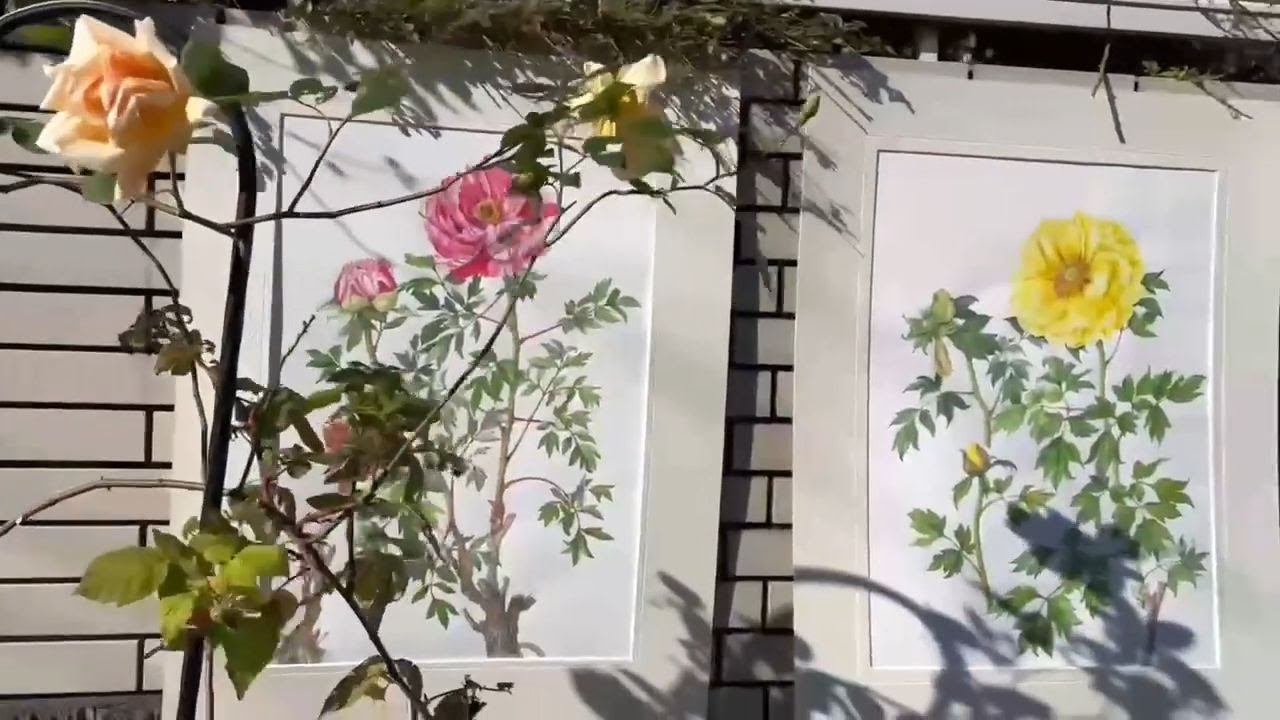 花ババのボタニカルアート作品展 - YouTube