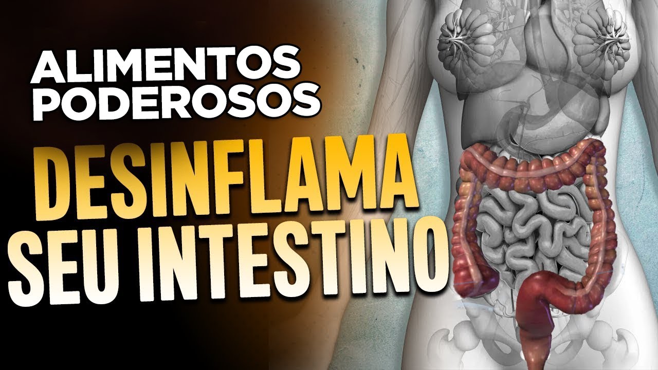 DESINFLAME O INTESTINO - ALIMENTOS PODEROSOS, Contra Gordura e ...